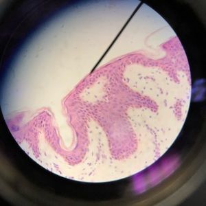 Meet your Posher, Melanie